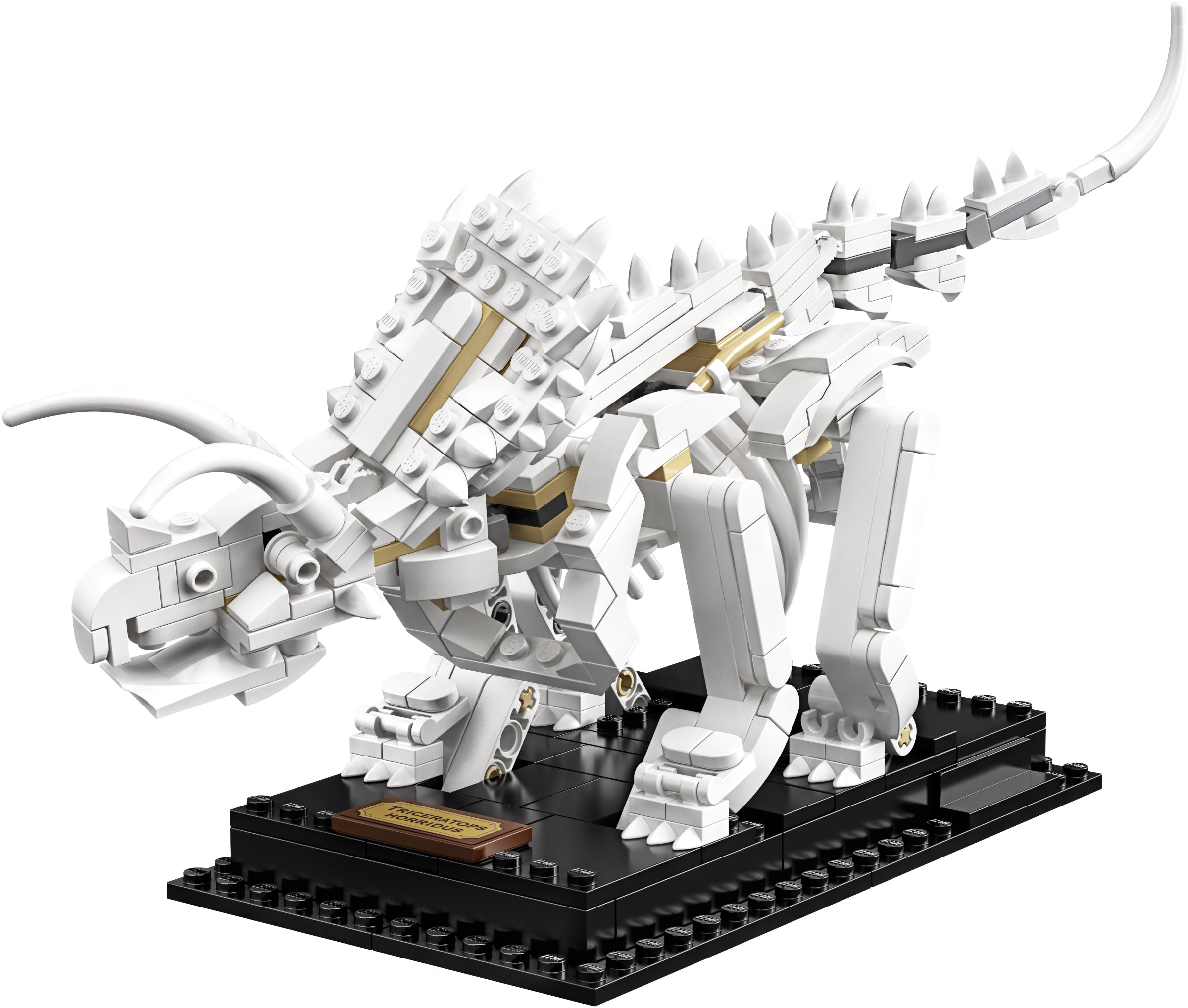 Lego Ideas 21320 Dinosaur Fossils