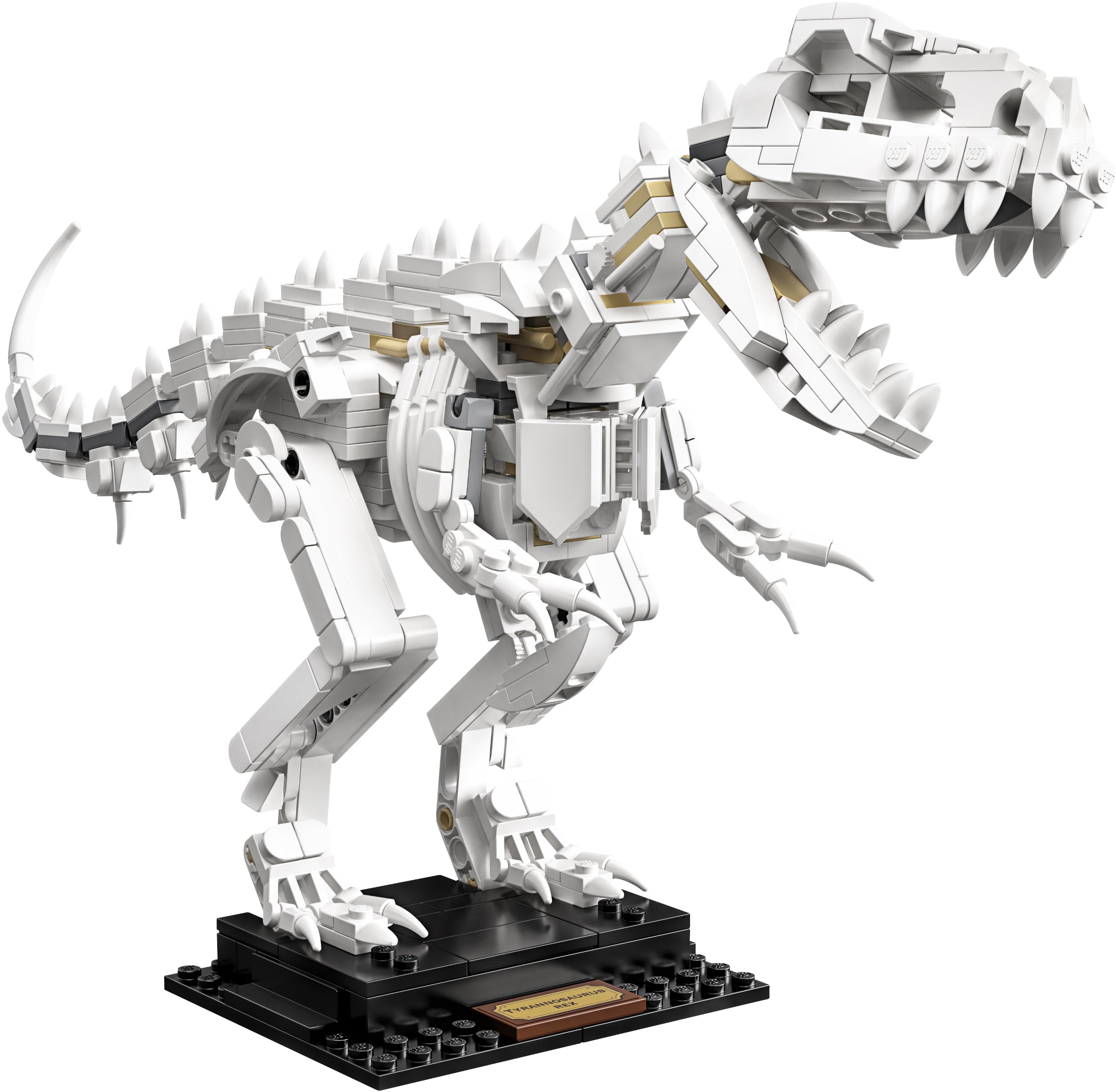 Lego Ideas 21320 Dinosaur Fossils