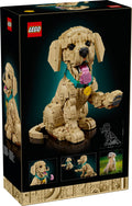 LEGO® Icons Mladič zlati prinašalec / Golden Retriever Puppy (11384)