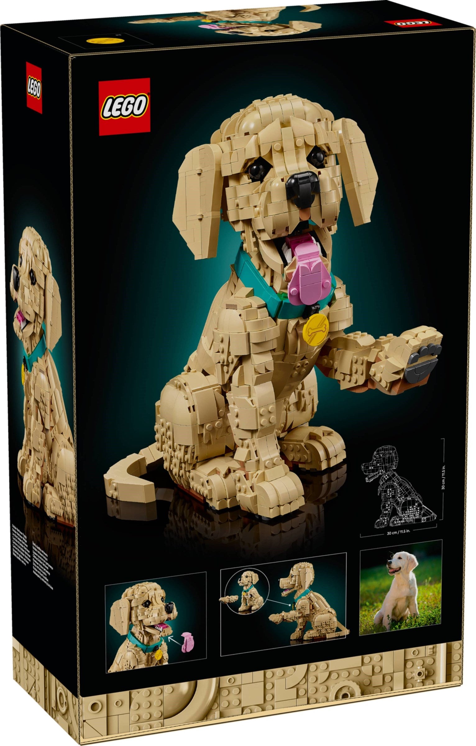 LEGO® Icons Mladič zlati prinašalec / Golden Retriever Puppy (11384)