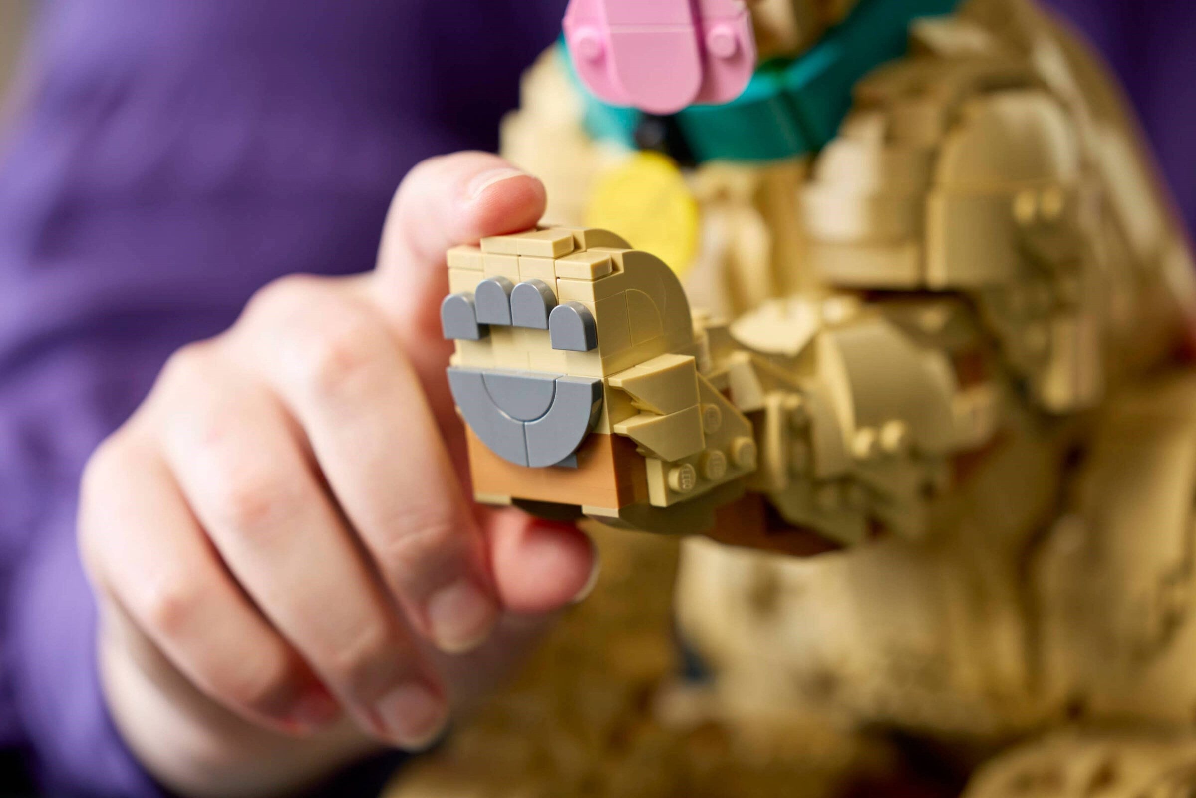 LEGO® Icons Mladič zlati prinašalec / Golden Retriever Puppy (11384)