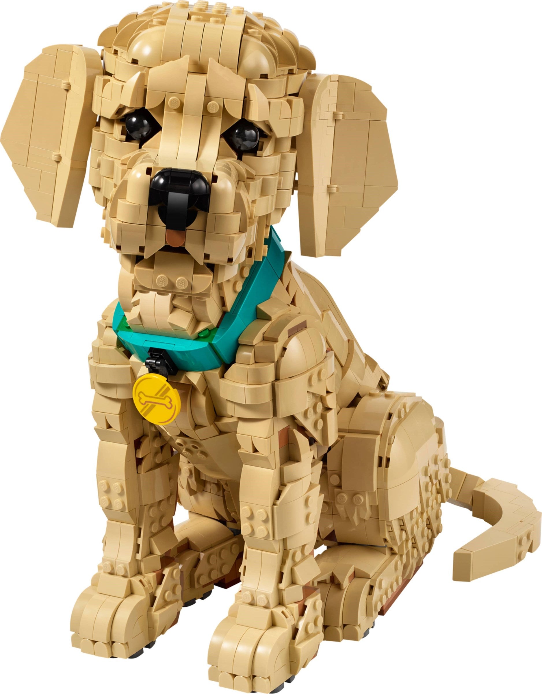 LEGO® Icons Mladič zlati prinašalec / Golden Retriever Puppy (11384)