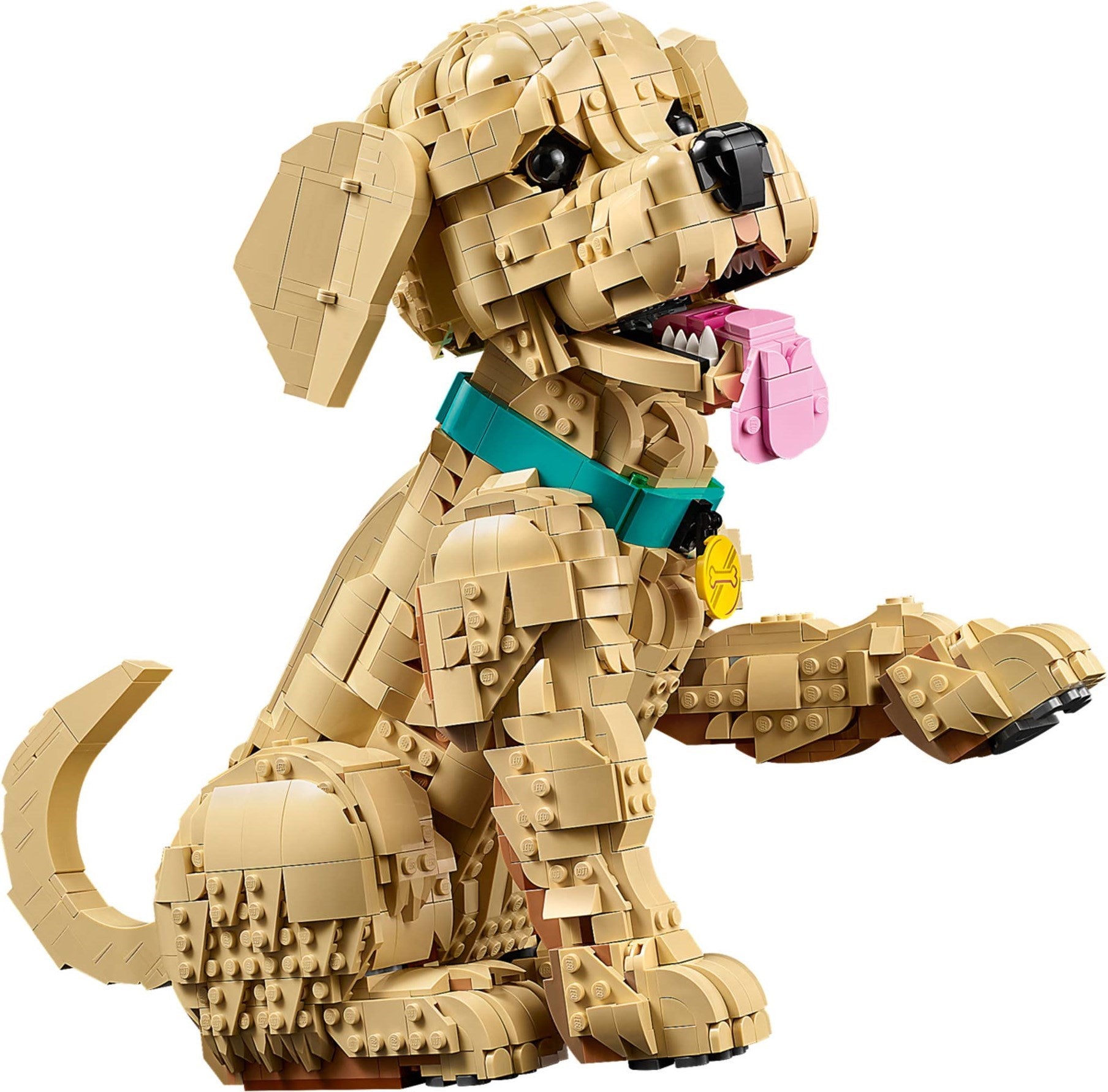 LEGO® Icons Mladič zlati prinašalec / Golden Retriever Puppy (11384)